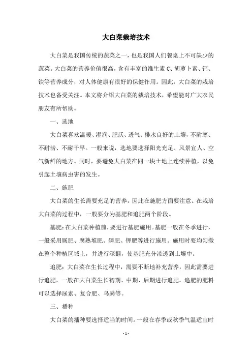 大白菜栽培技术