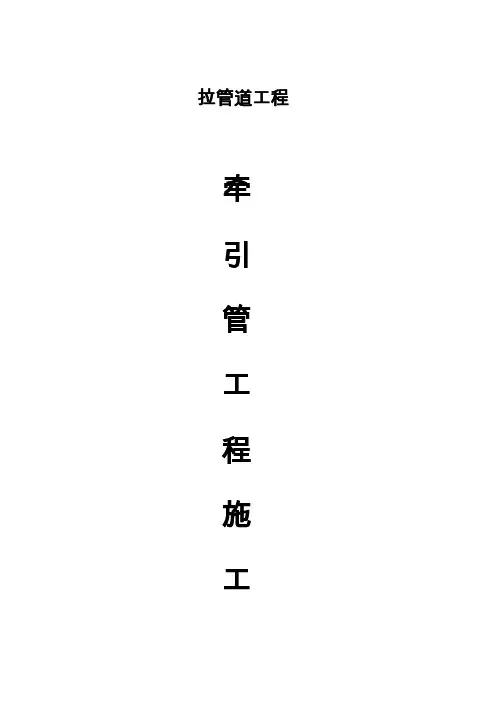 (完整word版)拉管专项施工方案