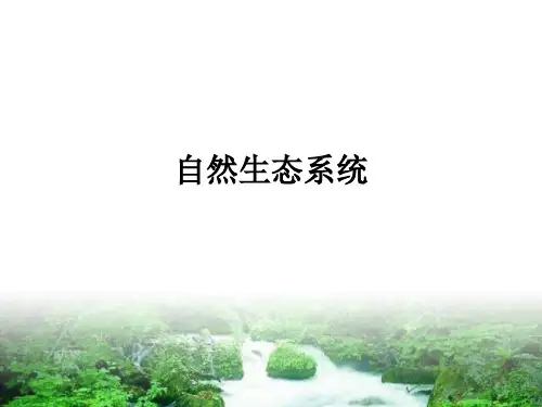 自然生态系统ppt课件