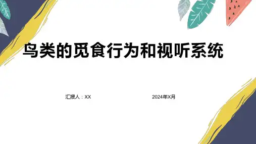 鸟类的觅食行为和视听系统