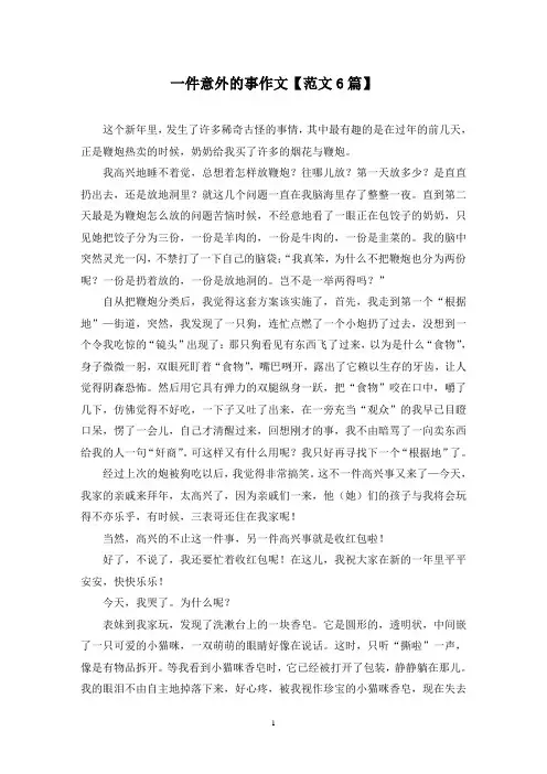 精选一件意外的事作文【范文6篇】