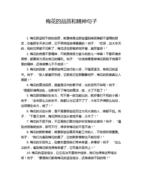 梅花的品质和精神句子