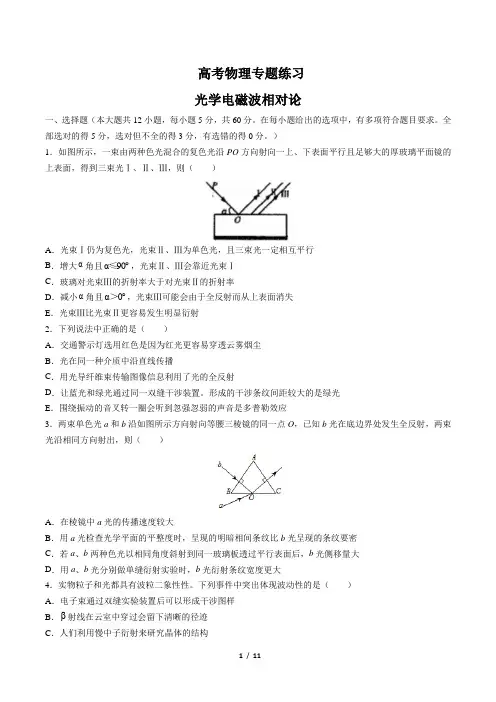 高考物理-光学电磁波相对论-专题练习