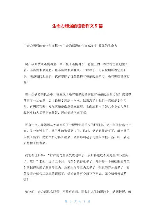 生命力顽强的植物作文5篇