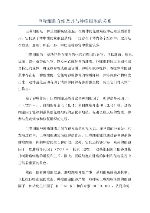 巨噬细胞介绍及其与肿瘤细胞的关系