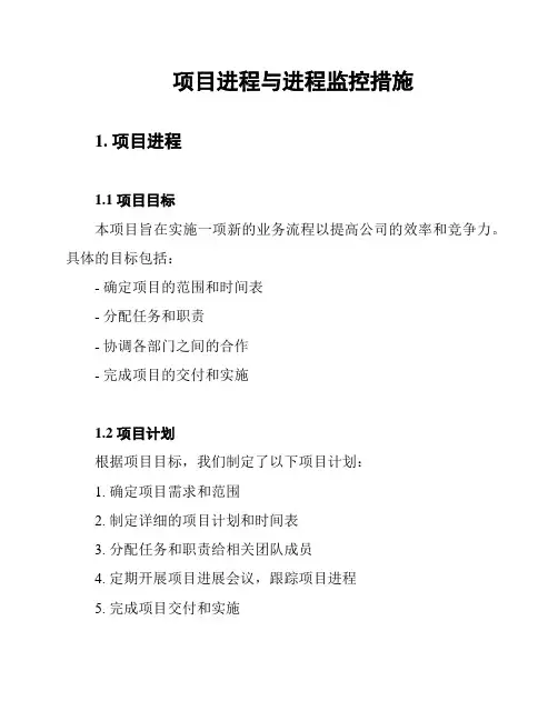 项目进程与进程监控措施