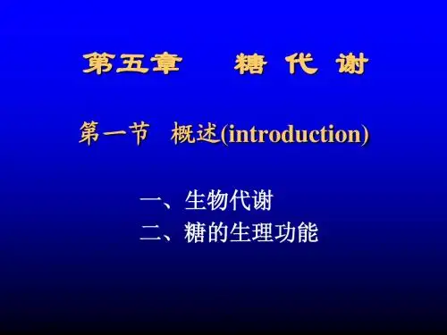 糖代谢PPT课件