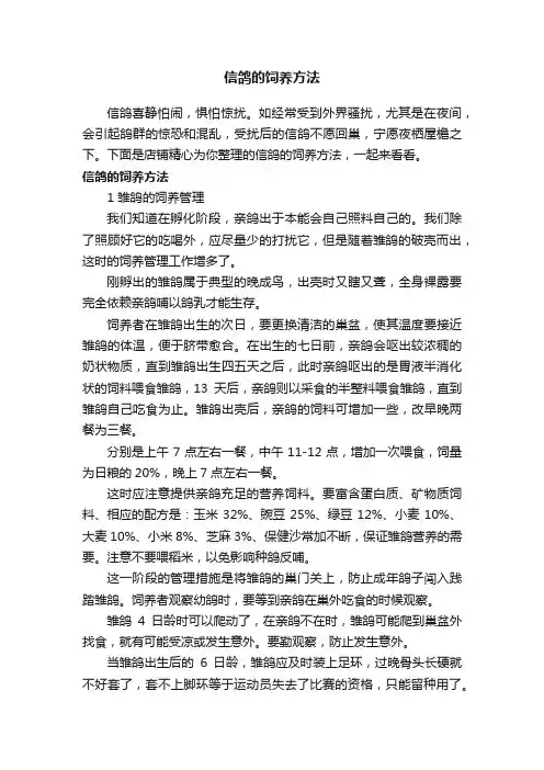 信鸽的饲养方法