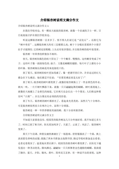 介绍银杏树说明文满分作文