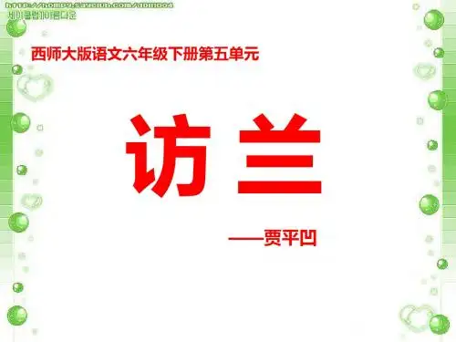 《访兰》PPT课件4 (共26张PPT)