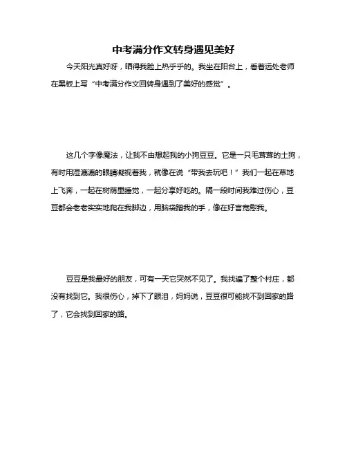 中考满分作文转身遇见美好