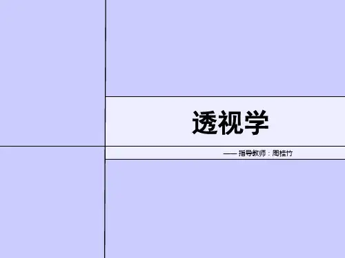 透视——名词解释和基本原理