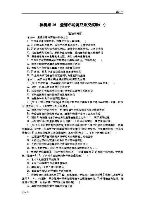 2025届高中生物学一轮复习检测案16 孟德尔的豌豆杂交实验(一)(含解析)