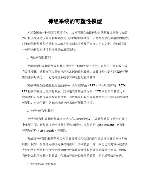 神经系统的可塑性模型