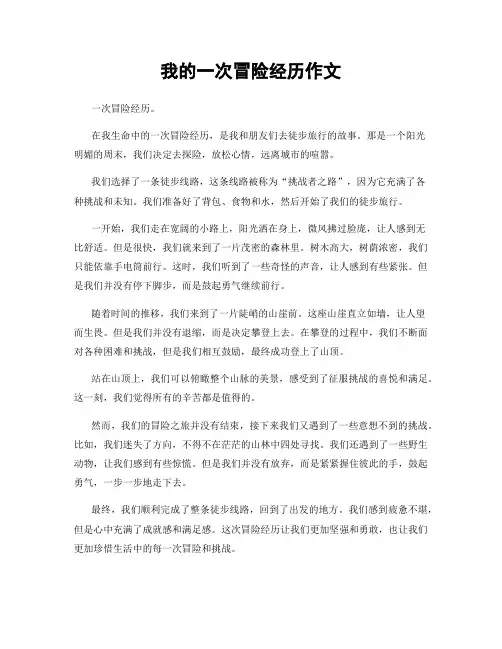 我的一次冒险经历作文