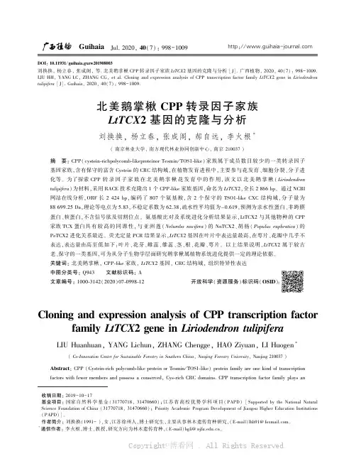北美鹅掌楸ＣＰＰ 转录因子家族ＬｔＴＣＸ２ 基因的克隆与分析