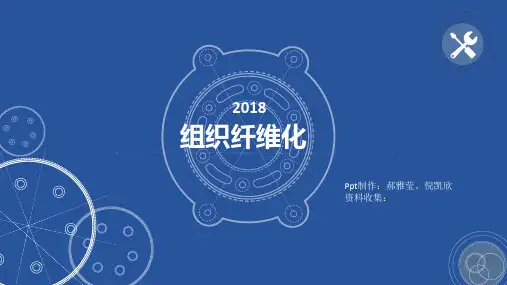组织纤维化
