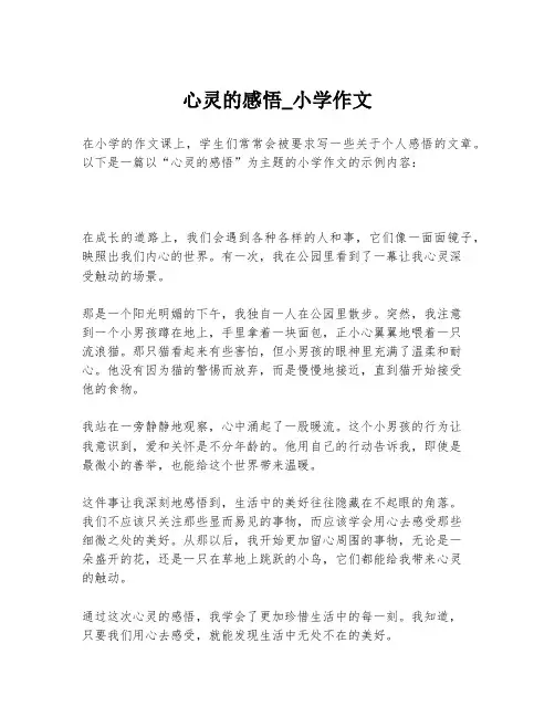 心灵的感悟_小学作文