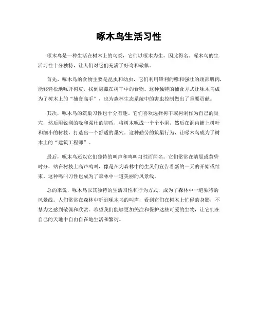 啄木鸟生活习性