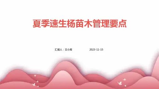 夏季速生杨苗木管理要点