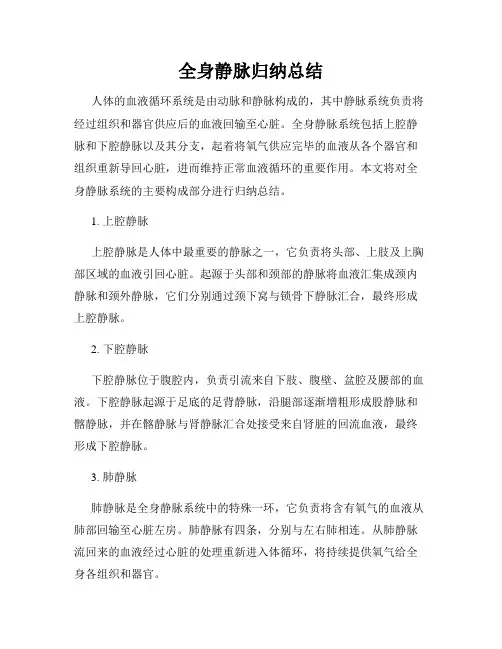 全身静脉归纳总结