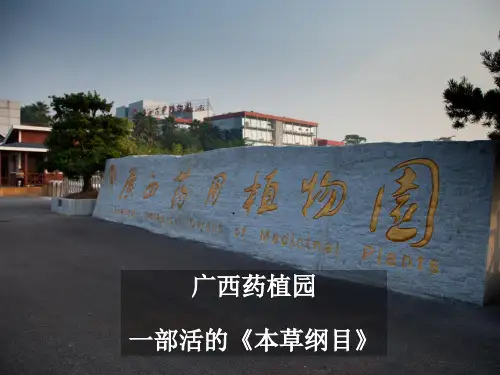 广西药植园一部活的《本草纲目》方案简介