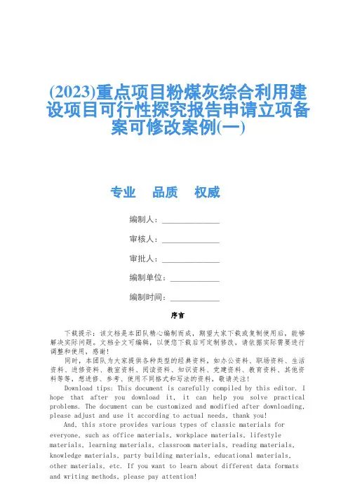 (2023)重点项目粉煤灰综合利用建设项目可行性研究报告申请立项备案可修改案例(一)