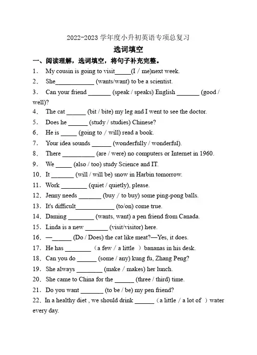 2022-2023学年度小升初英语总复习-选词填空(接力版)
