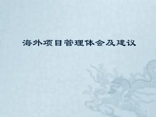海外项目管理体会及建议ppt课件