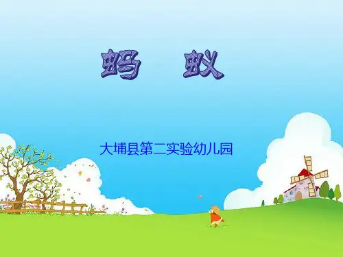 蚂蚁介绍课件PPT