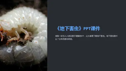 《地下害虫》课件