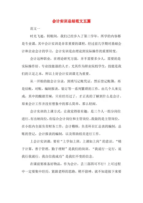 2019年会计实训总结范文五篇