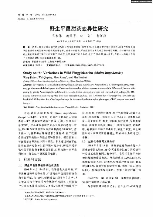 野生平邑甜茶变异性研究