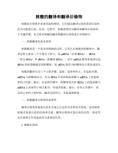 核酸的翻译和翻译后修饰