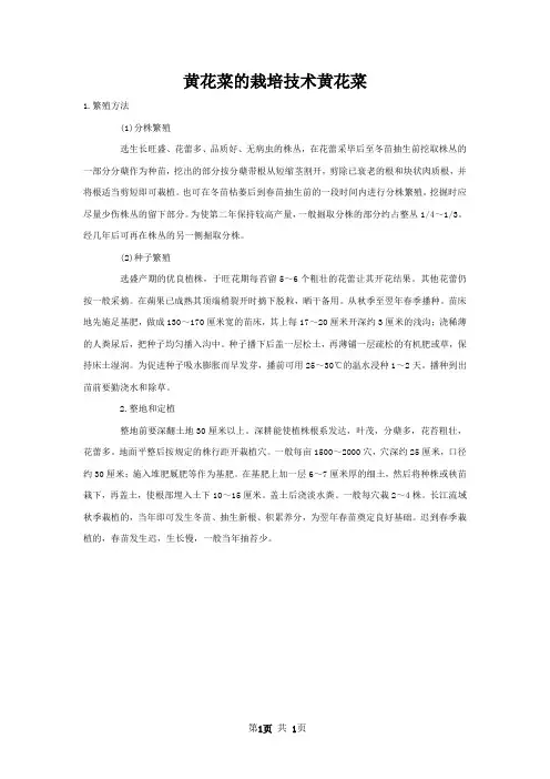 黄花菜的栽培技术黄花菜