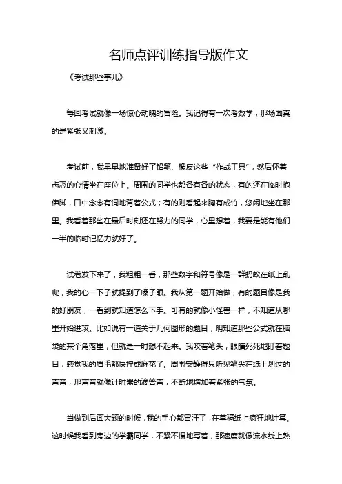 名师点评训练指导版作文