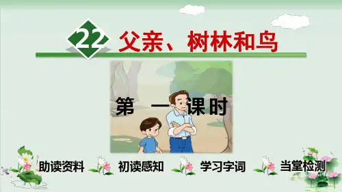 (部编版)小学语文三级上册《父亲、树林和鸟》PPT优秀课件