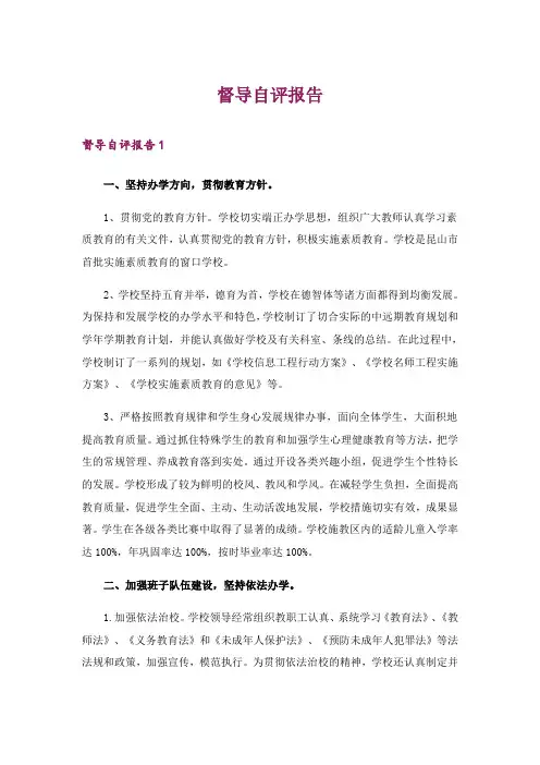 督导自评报告