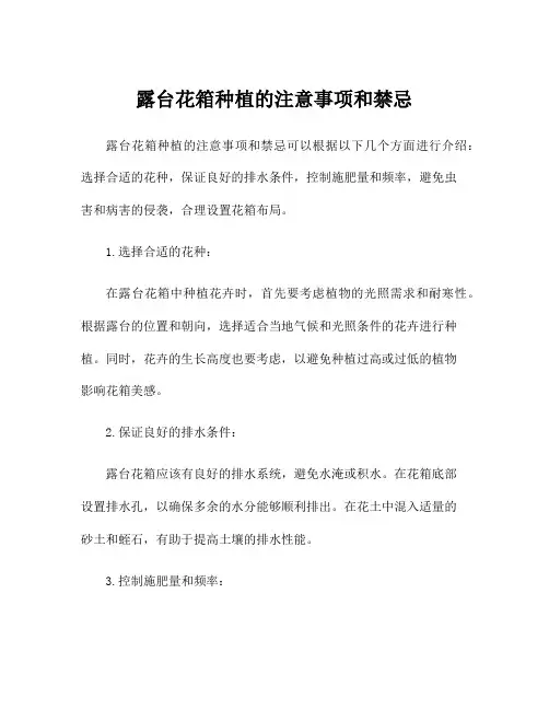 露台花箱种植的注意事项和禁忌