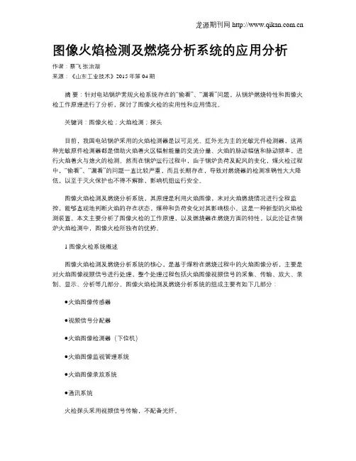 图像火焰检测及燃烧分析系统的应用分析