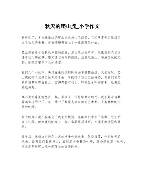 秋天的爬山虎_小学作文