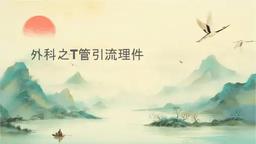 外科之T管引流护理课件