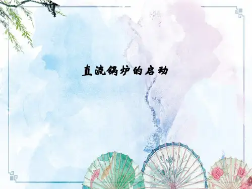 【大型锅炉运行】03直流锅炉的启动