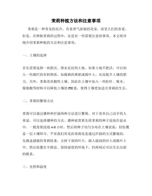 茉莉种植方法和注意事项