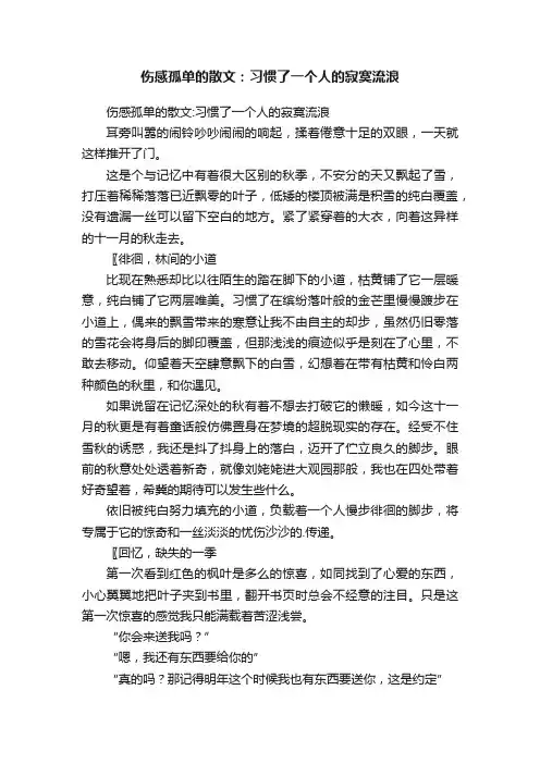 伤感孤单的散文：习惯了一个人的寂寞流浪