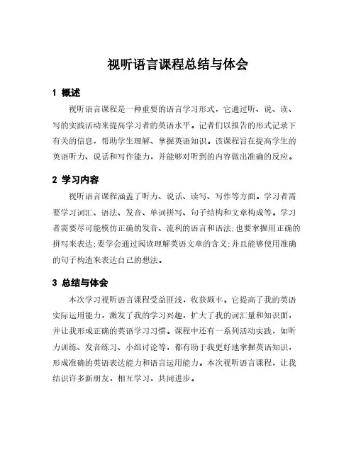 视听语言课程总结与体会