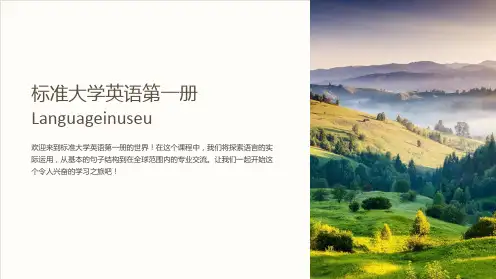 标准大学英语第一册Languageinuseu