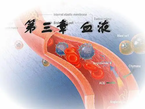 人体生理学：第三章 血液