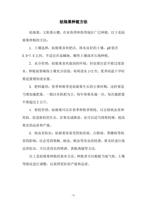姑娘果种植方法