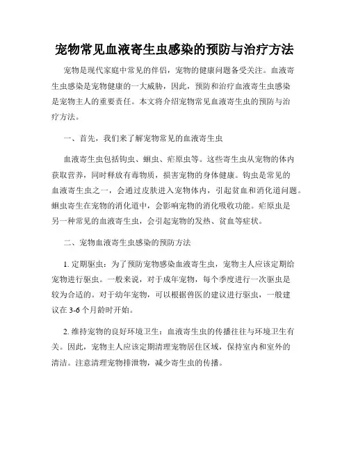 宠物常见血液寄生虫感染的预防与治疗方法
